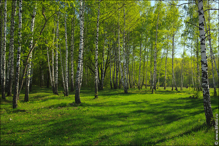 h_fullsize_dir